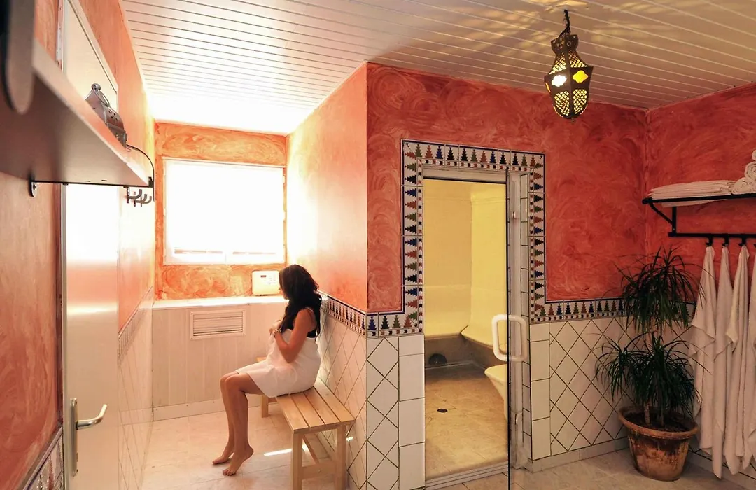 Ibis Orange Sud-1